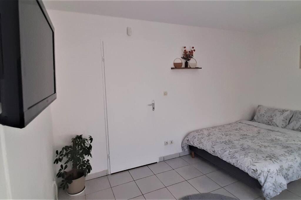 Studio Charmant Et Moderne Grand Confort Toulouse Eksteriør billede