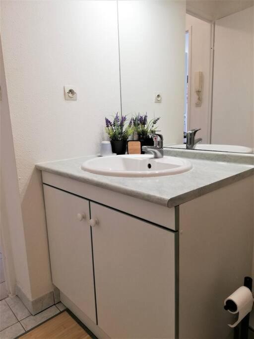 Studio Charmant Et Moderne Grand Confort Toulouse Eksteriør billede